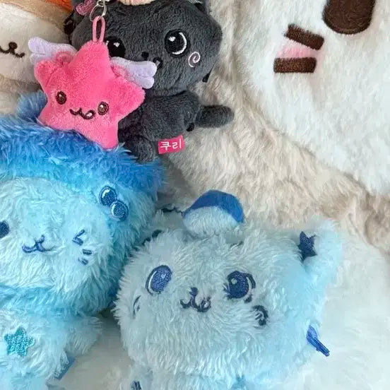 블루 쿠리 위시돌