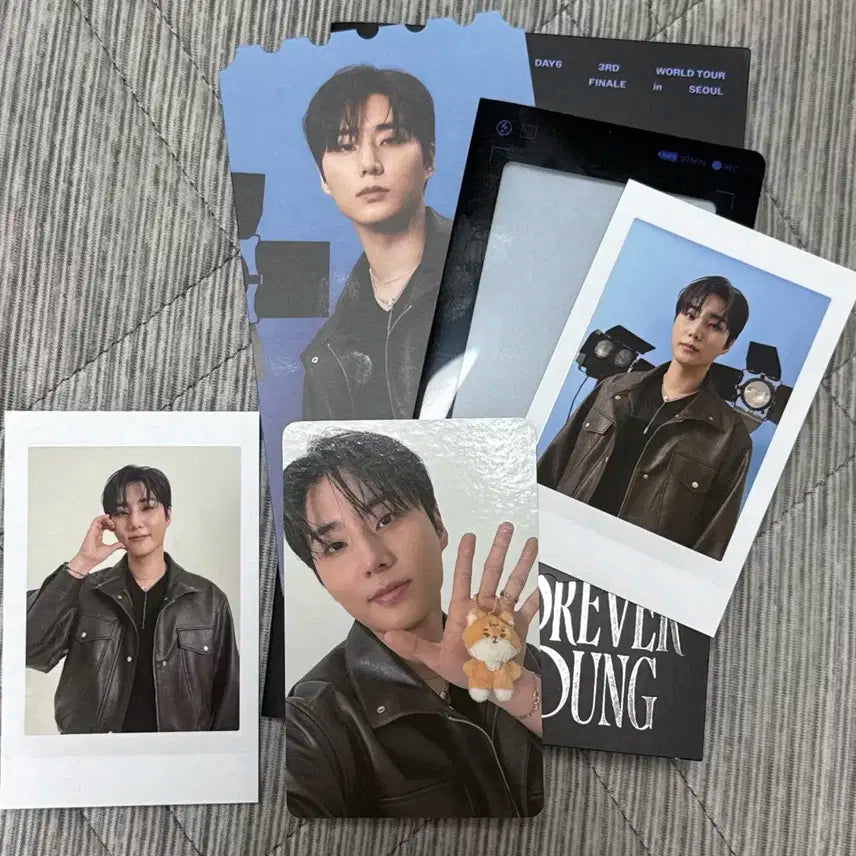 데이식스 포에버영 파이널콘 엠디 포카 영케이 일괄