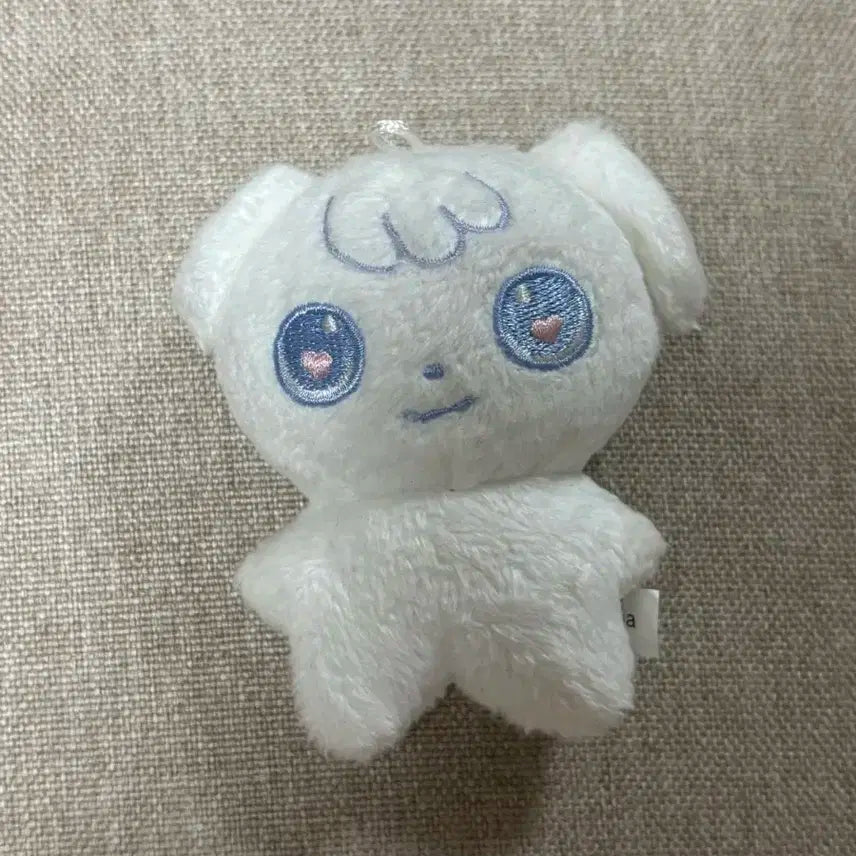 앤팀 의주 쭈멍이 특별한 쭈멍이 아오아라시