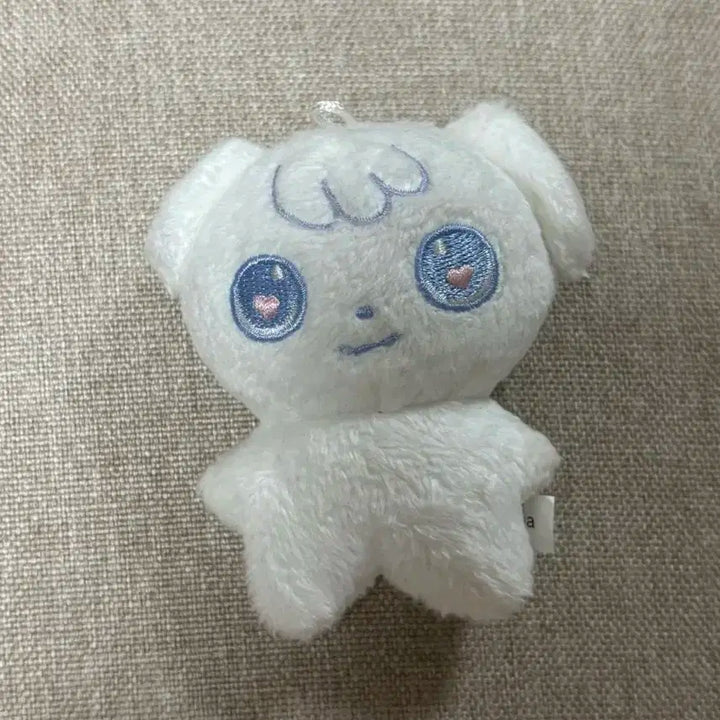 앤팀 의주 쭈멍이 특별한 쭈멍이 아오아라시