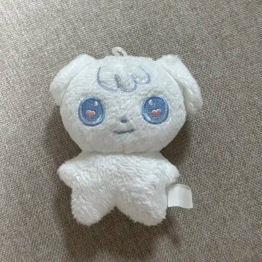 앤팀 의주 쭈멍이 특별한 쭈멍이 아오아라시