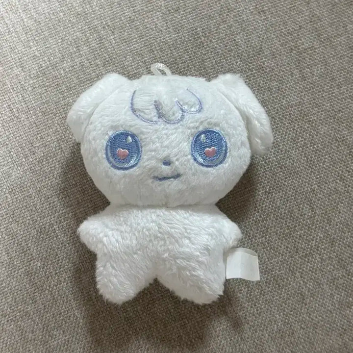 앤팀 의주 쭈멍이 특별한 쭈멍이 아오아라시