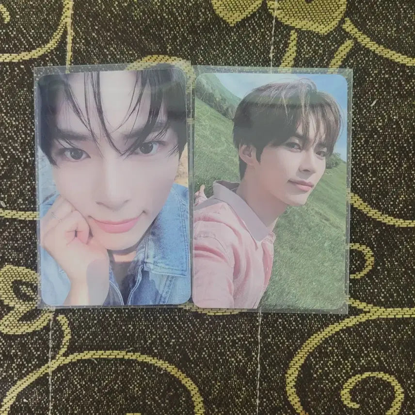 제로베이스원 성한빈 일관