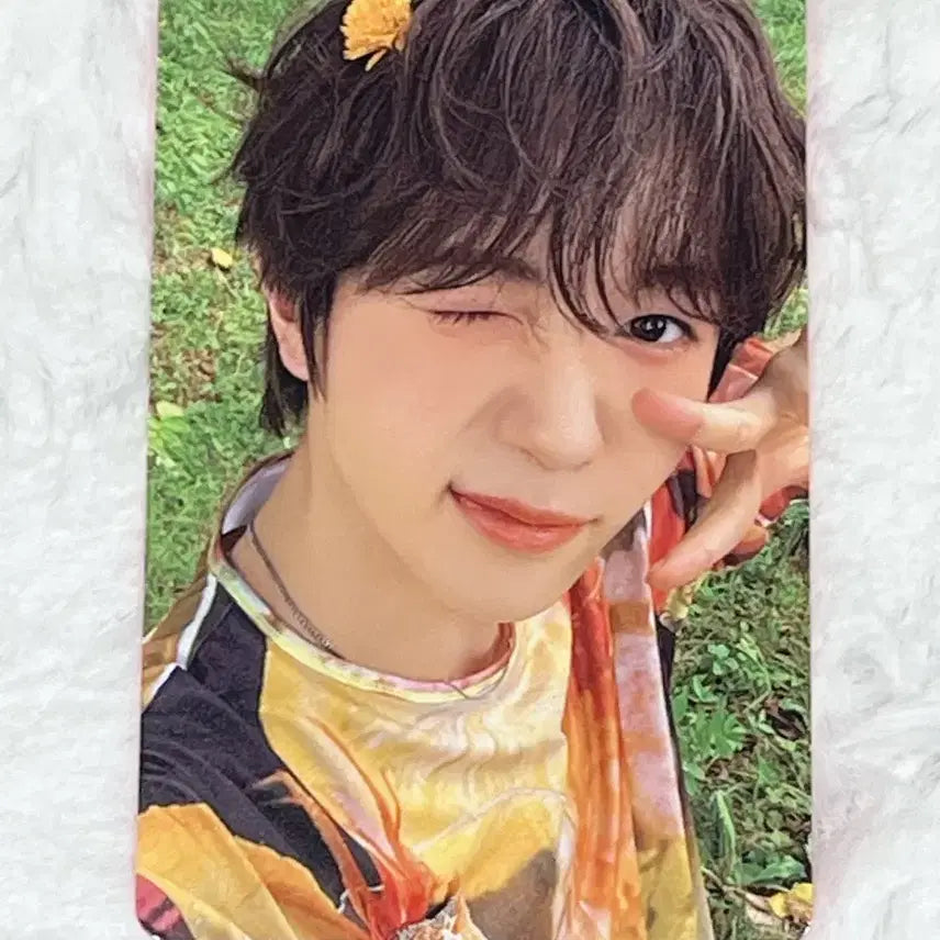 엔시티위시 nct wish 료 컬러 color 포토북 앨범 포카 양도