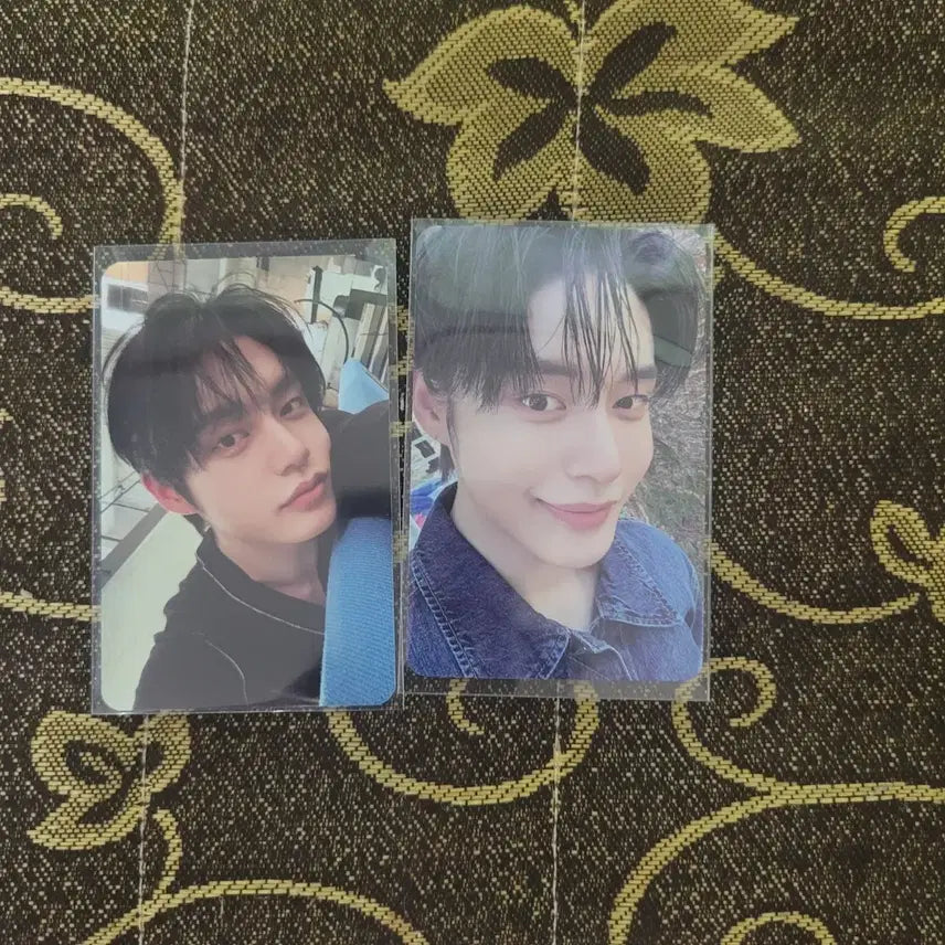 제로베이스원 김지웅 일관