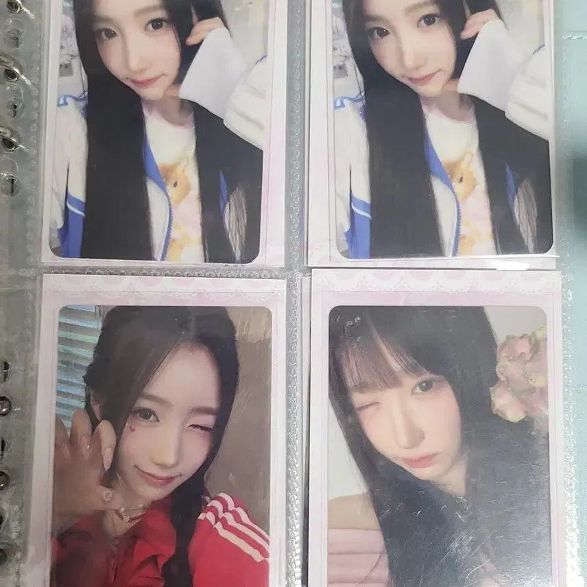 일괄)세이마이네임 포카 일괄로 팔아요