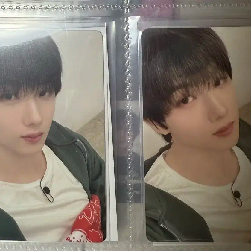 엔시티드림nctdream 박지성 핑크크리스마스2024 일괄 포카