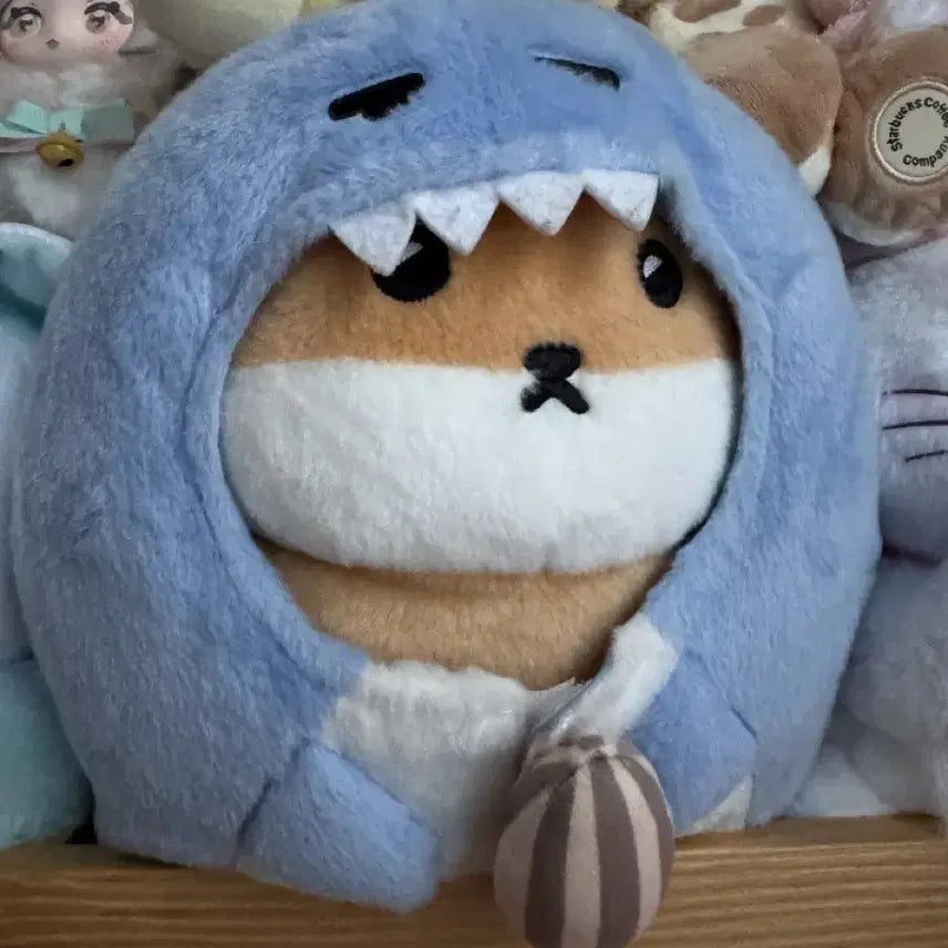 대왕 채부기 햄슥이 팔아요