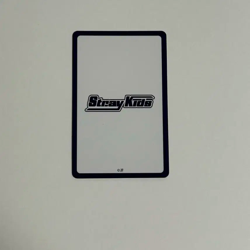 스트레이키즈 2024 JYP 재팬 팝업 만엔 특전 구찌리노