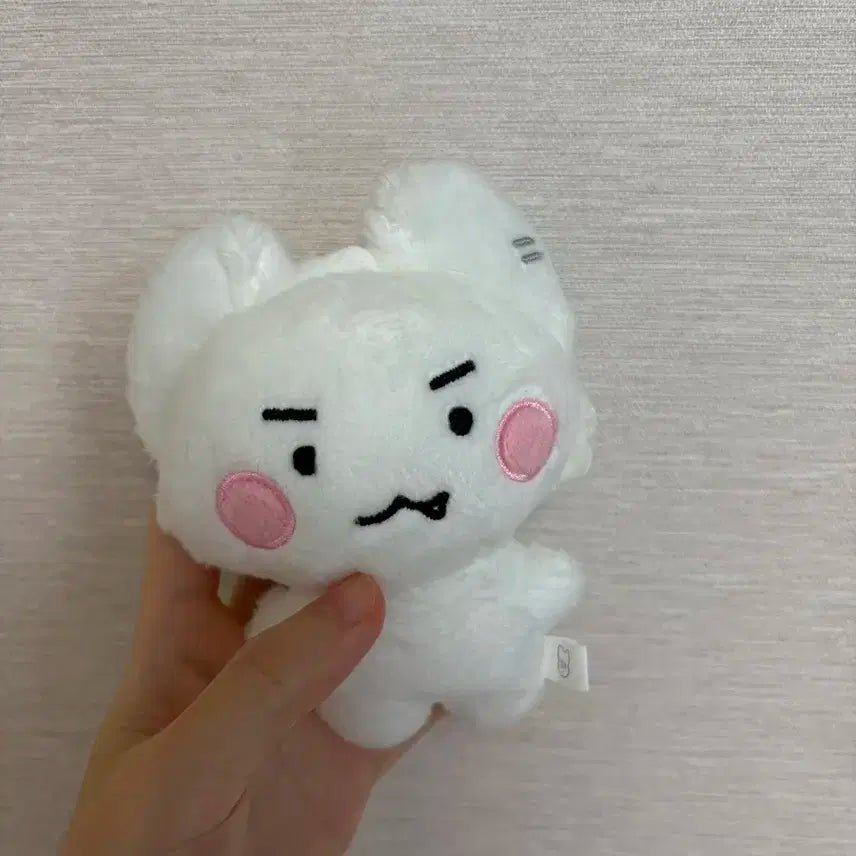 플레이브 은호 암긍개