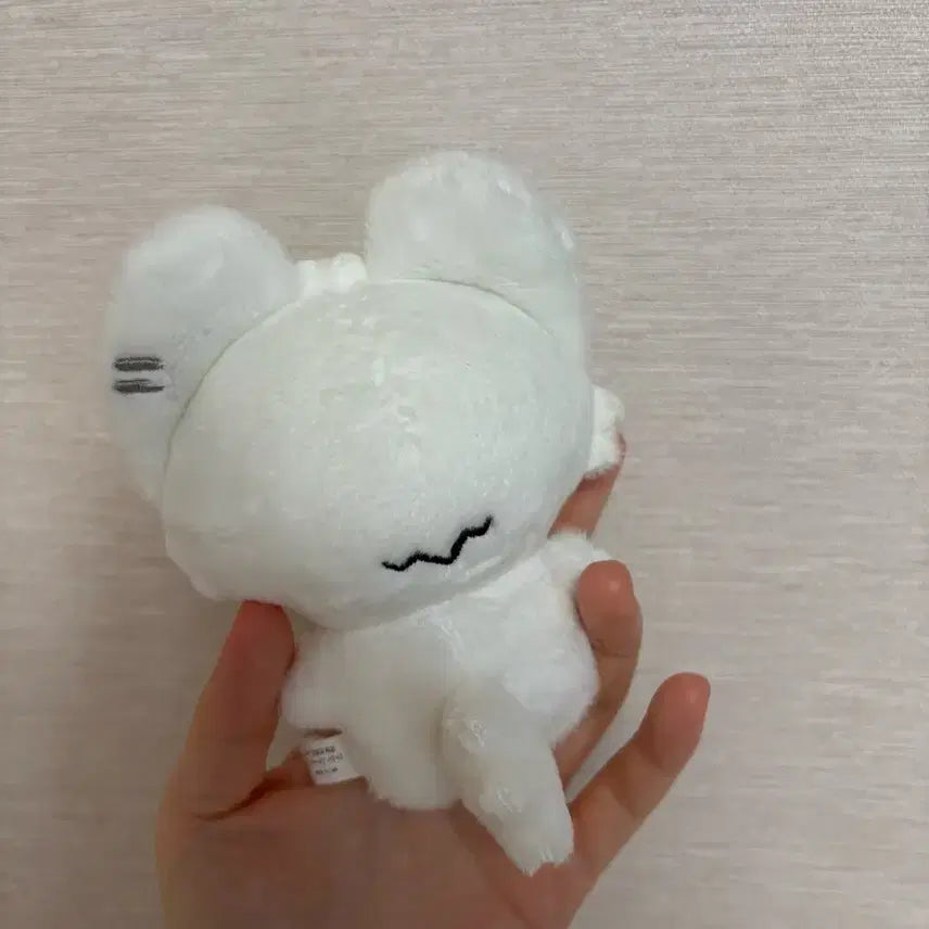 플레이브 은호 암긍개