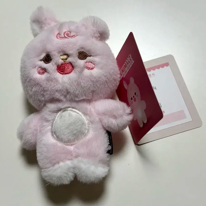 데이식스 원필 쁘띠멀즈 필