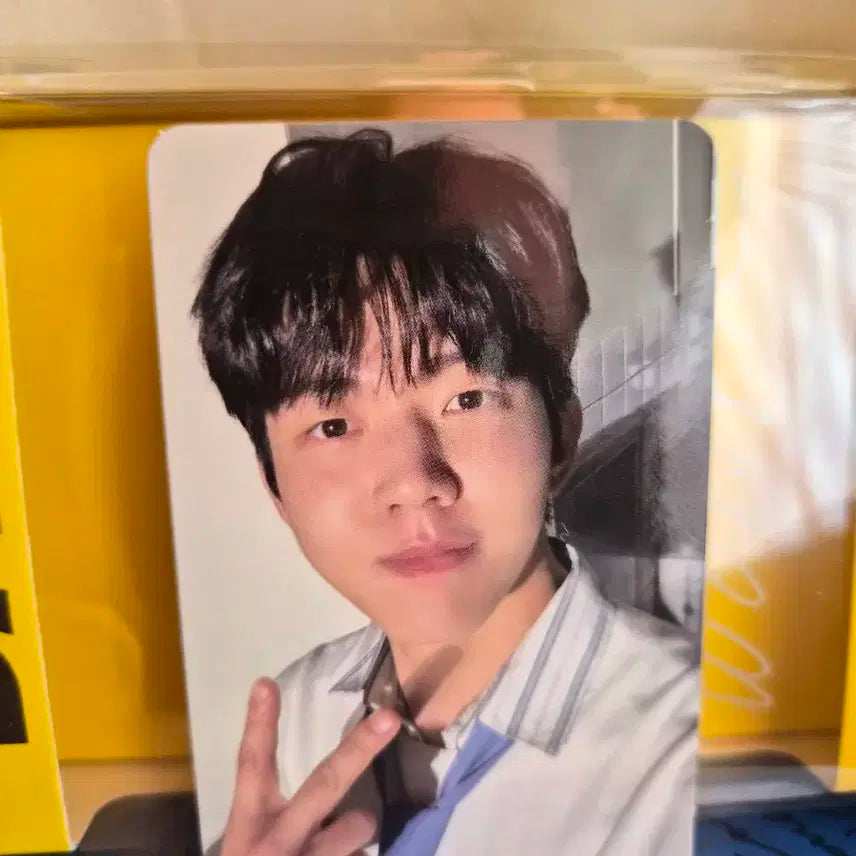 데이식스 데케이드 도운 포카