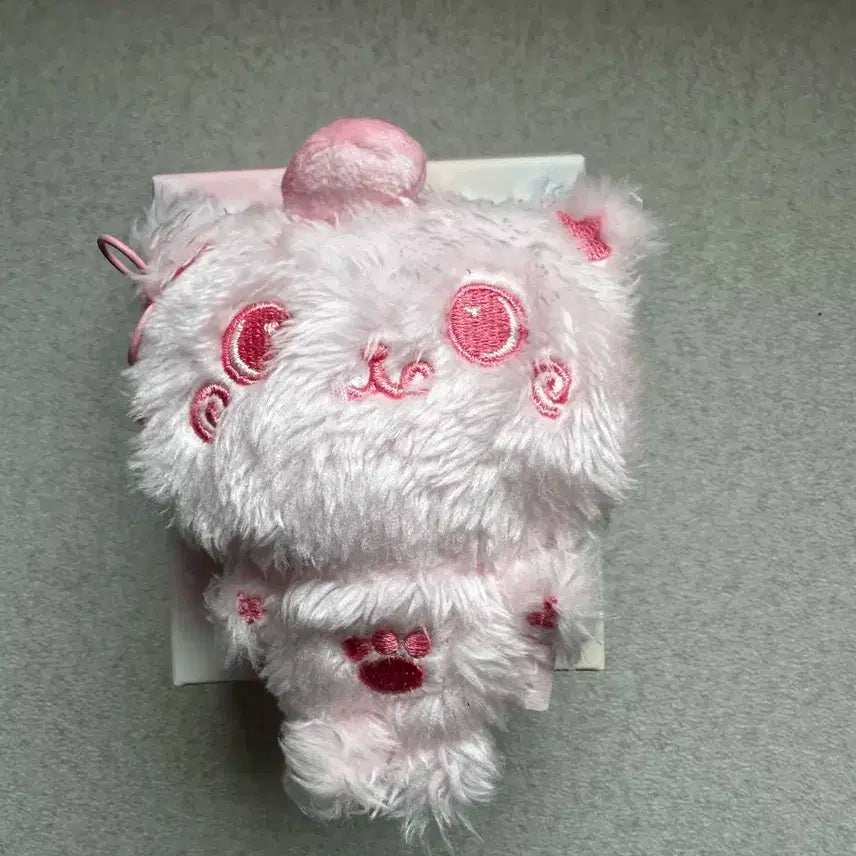 엔시티위시 위시돌 쿠리