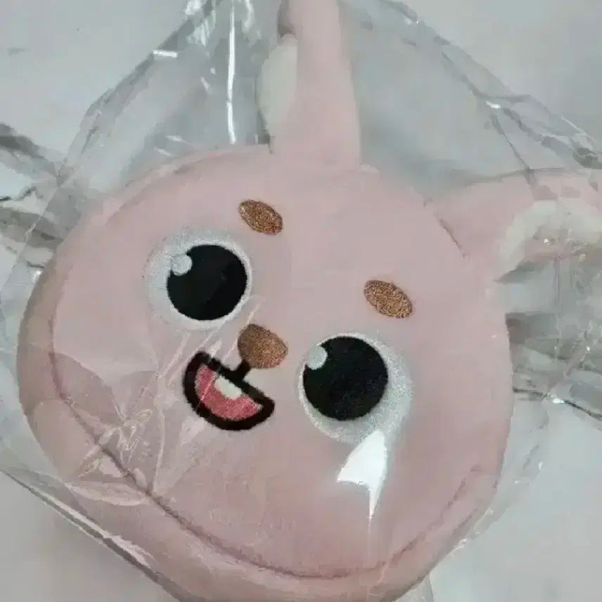 데이식스 데니멀즈 페이스 파우치 필 원필 일본MD