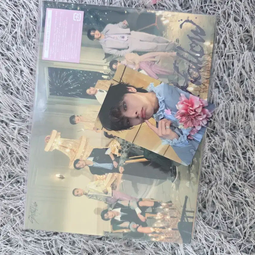 스트레이키즈 hollow 초회생산한정판 B 일본