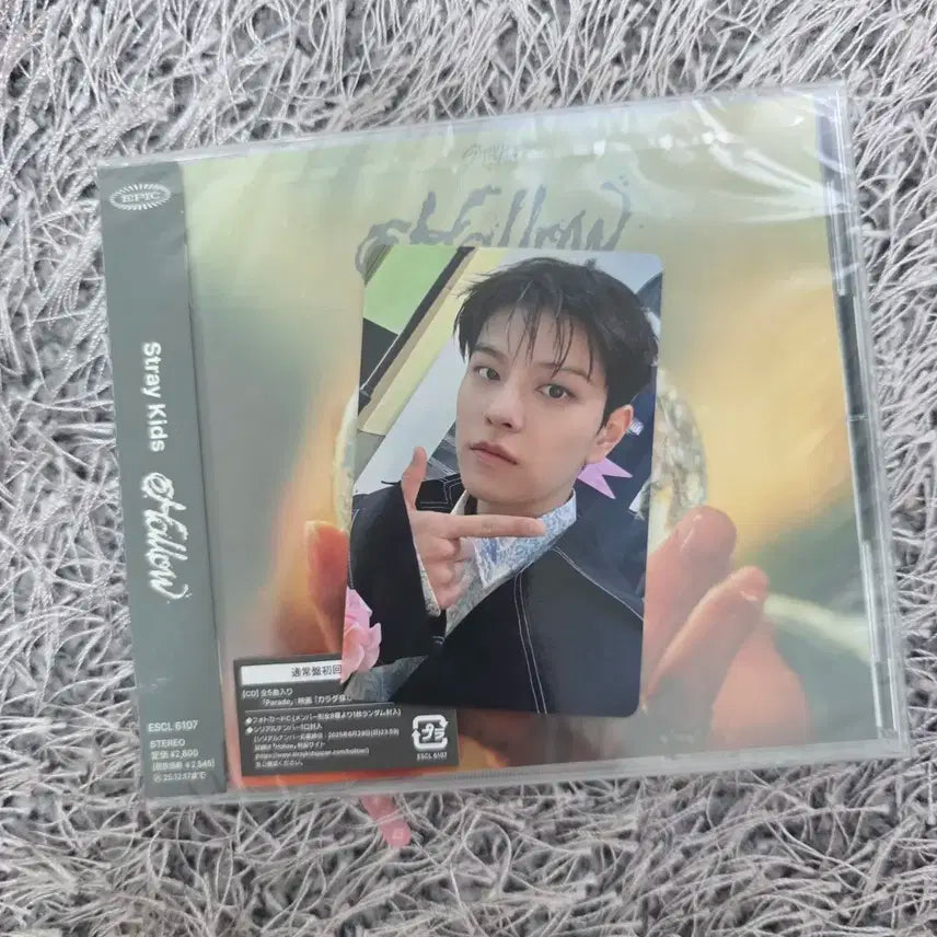 스트레이키즈 hollow CD