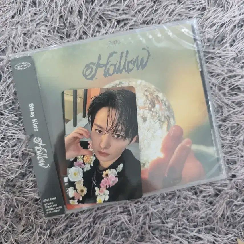 스트레이키즈 hollow CD
