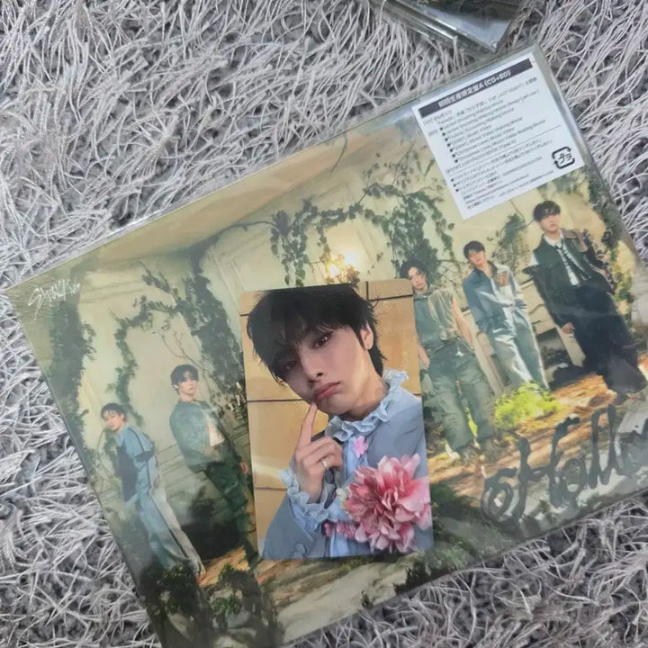 스트레이키즈 hollow 초회생산한정반 A