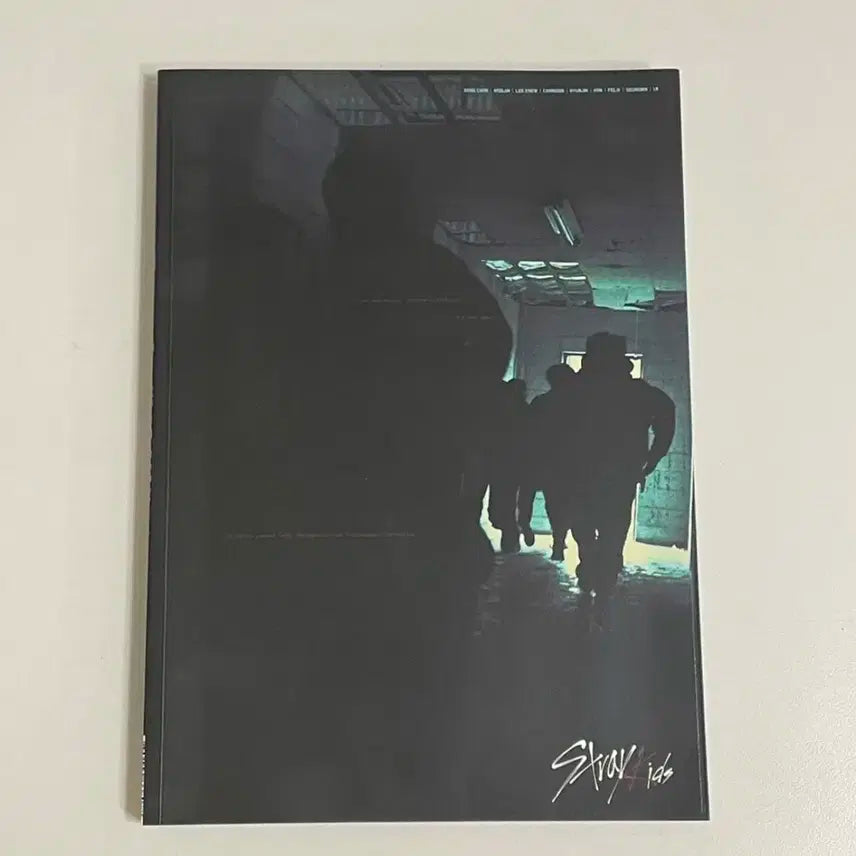 스트레이키즈 개봉 앨범