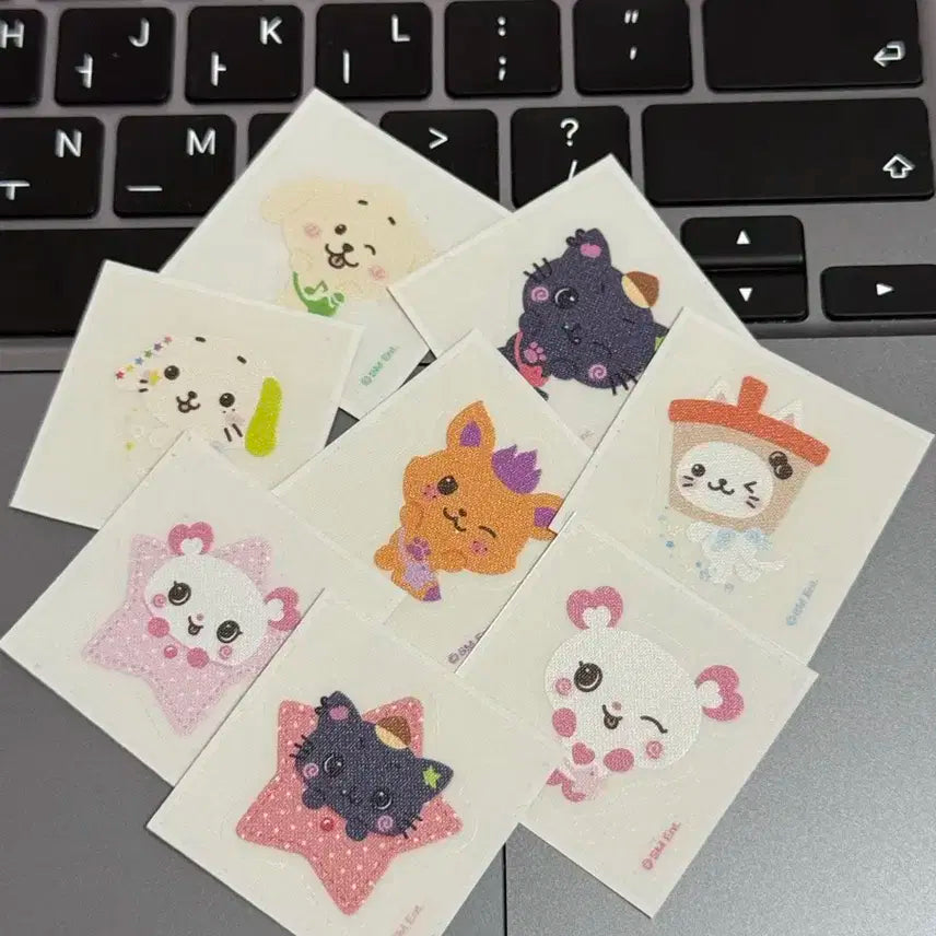 일괄) nctwish 엔시티위시 스테디 띠부실 양도