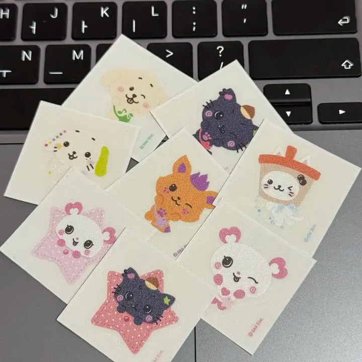 일괄) nctwish 엔시티위시 스테디 띠부실 양도