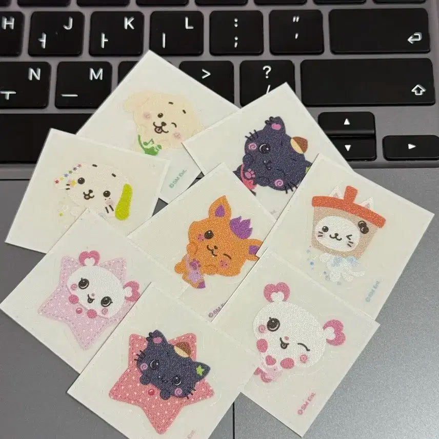 일괄) nctwish 엔시티위시 스테디 띠부실 양도