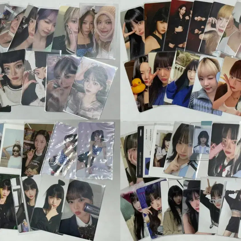 일괄) 르세라핌 홍은채 포카