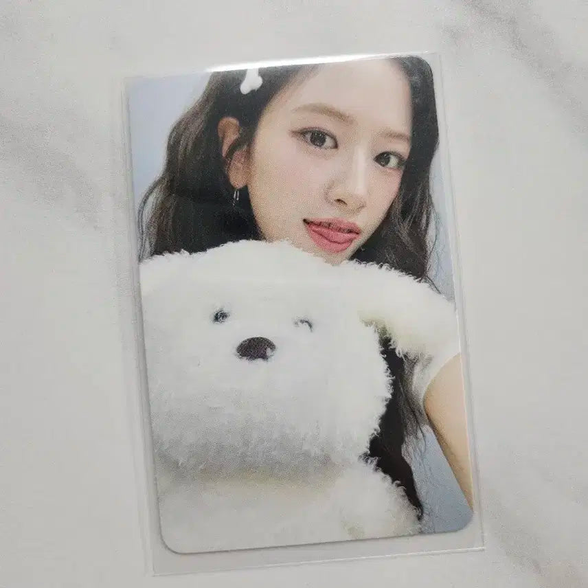 아이브 안유진 시크릿 헬로라이브 특전 강아지 포토카드