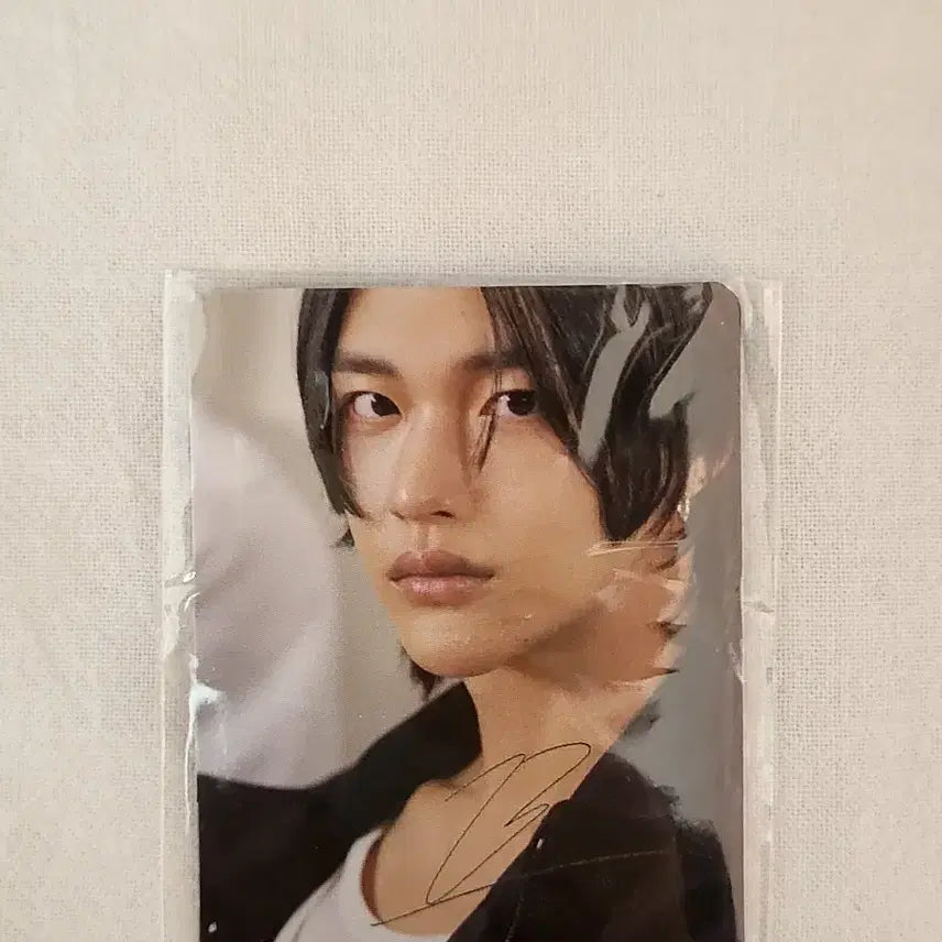 베라 라이즈 원빈 미니포카 포토카드