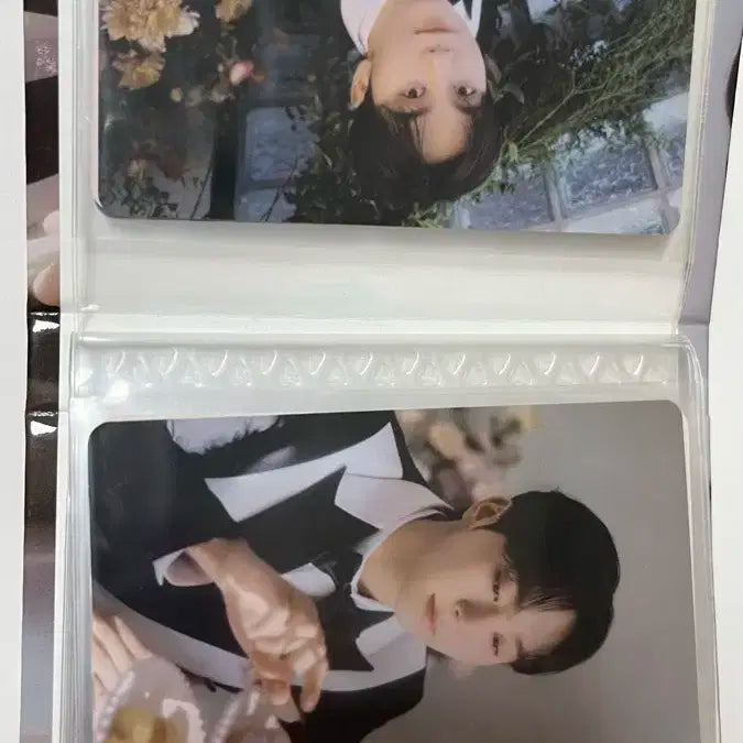 부승관 콜북 포토카드