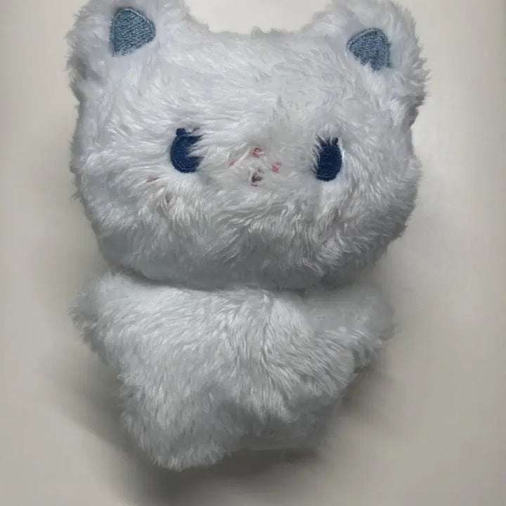 스트레이키즈 필릭스 뽁냥이 입없뽁 양도