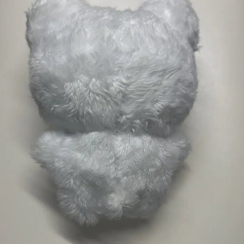 스트레이키즈 필릭스 뽁냥이 입없뽁 양도