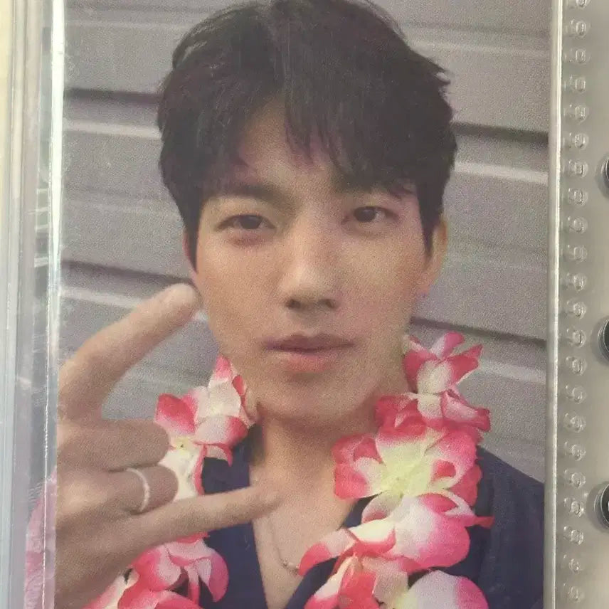 데이식스 도운 이븐오브데이 해변의달링 포카