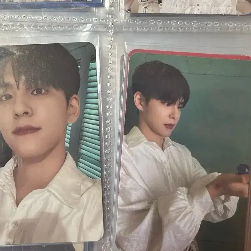 데이식스 원필 필모그래피 포카(일괄)