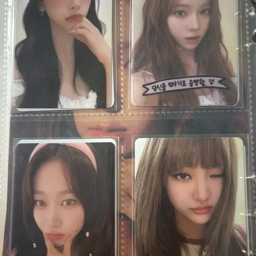 에스파 시그포카