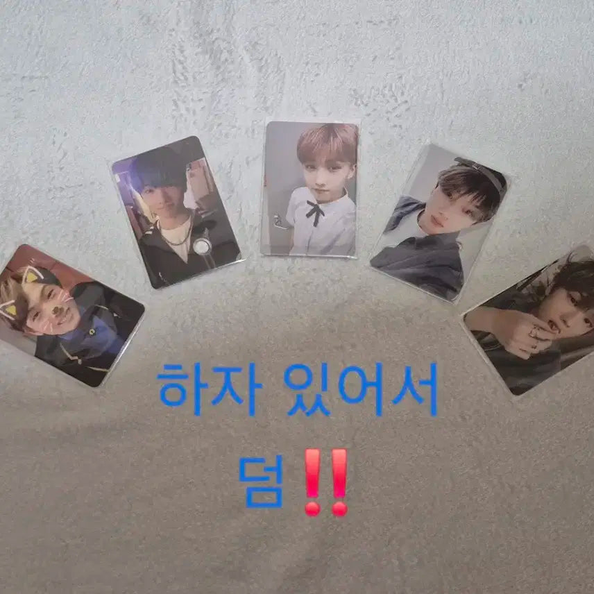 지성포카 일괄양도 / 엔시티 굿즈