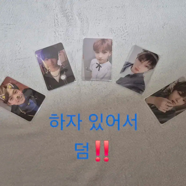 지성포카 일괄양도 / 엔시티 굿즈