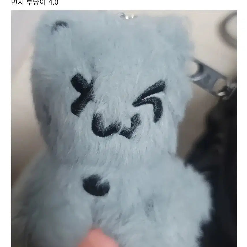 투어스 먼지투냥이 양도