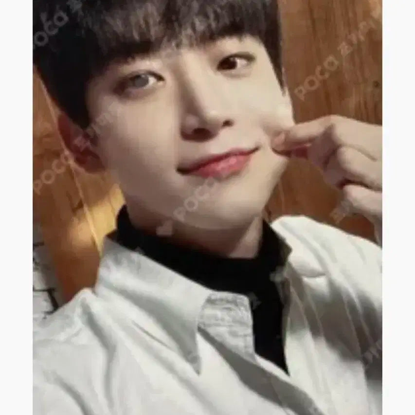 크래비티 정모 시그 케타포 특전 포카