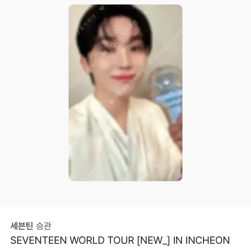 세븐틴 뉴 투어 부승관 캐럿존
