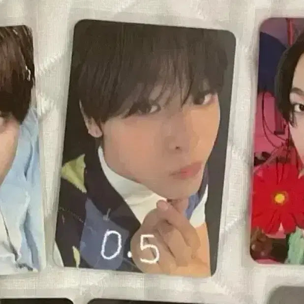 엔시티 위시 포카 리쿠 유우시 료 사쿠야