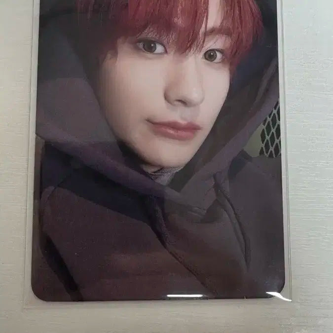 앤톤 후드 포카