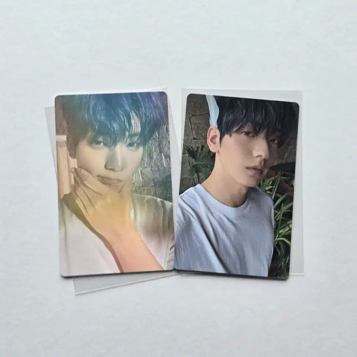 투바투 생츄어리 샌츄어리 엔젤 앨포 아궁빵 수빈 포카 일괄