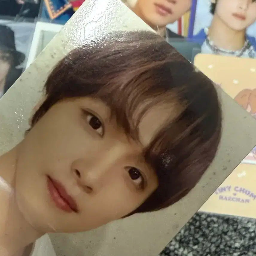 엔시티드림 127 해찬 포카 일괄 양도