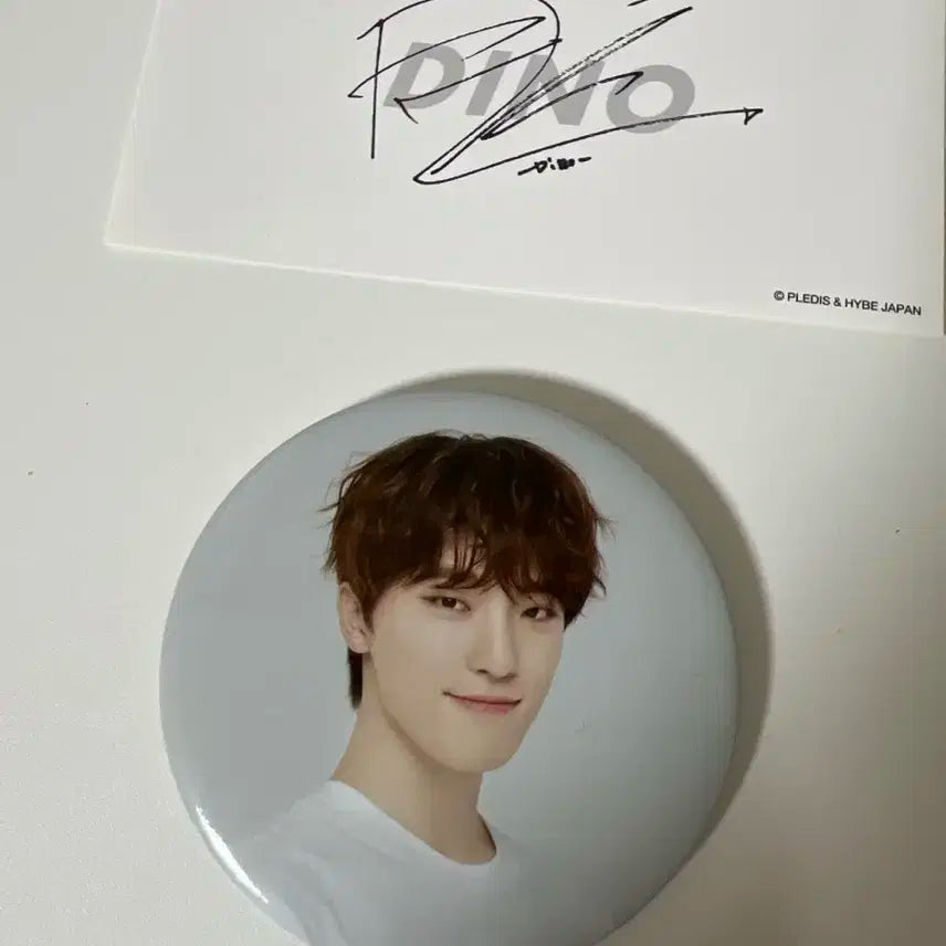 세븐틴 디노 캔뱃지