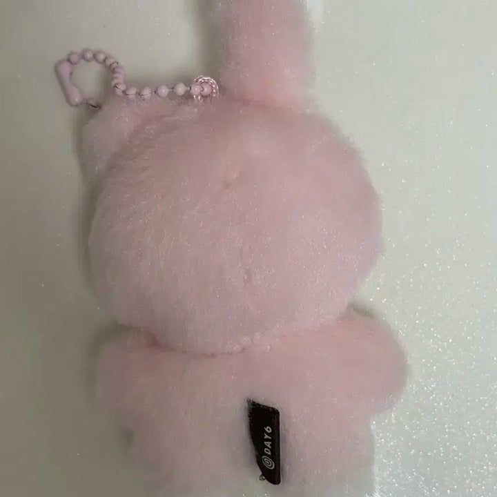 데이식스 쁘쁘멀