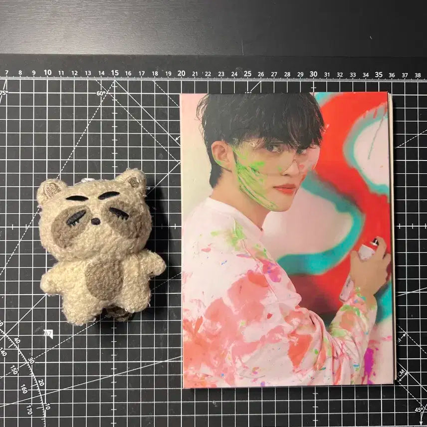 쿱꾸리 + 비더썬 캐럿반 일괄