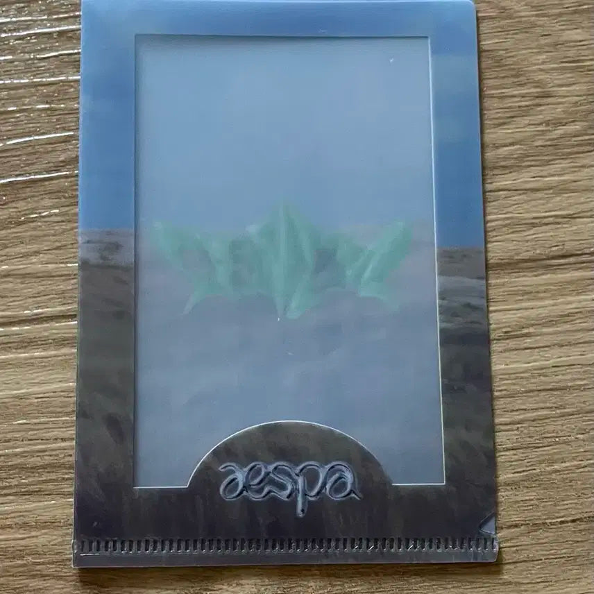 에스파 스파이시 spicy 특전 양도