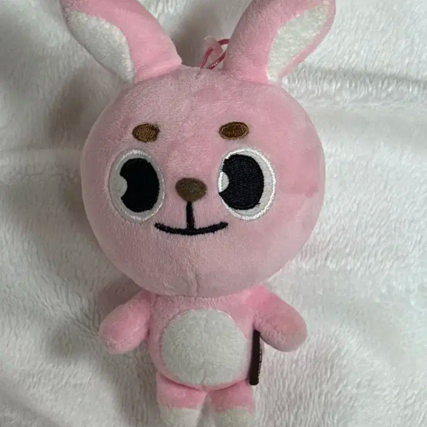 데이식스 데니멀즈 18필끼 팔아요